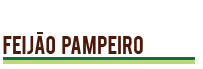 Feijão Pampeiro